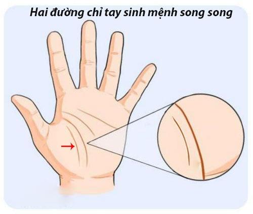 Xem chỉ tay đường sinh mệnh biết ngay người bệnh tật hay khỏe mạnh, ai phúc dày mệnh lớn-2
