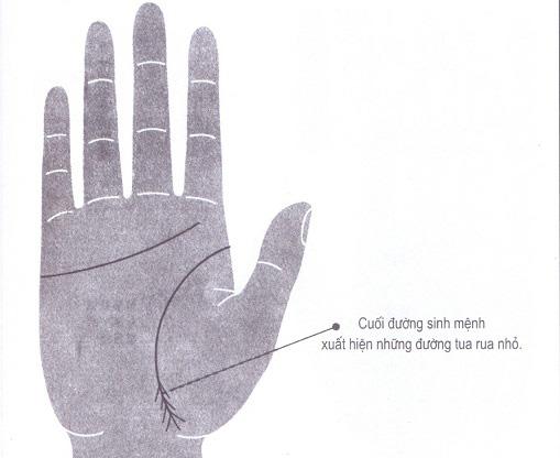 Xem chỉ tay đường sinh mệnh biết ngay người bệnh tật hay khỏe mạnh, ai phúc dày mệnh lớn-5