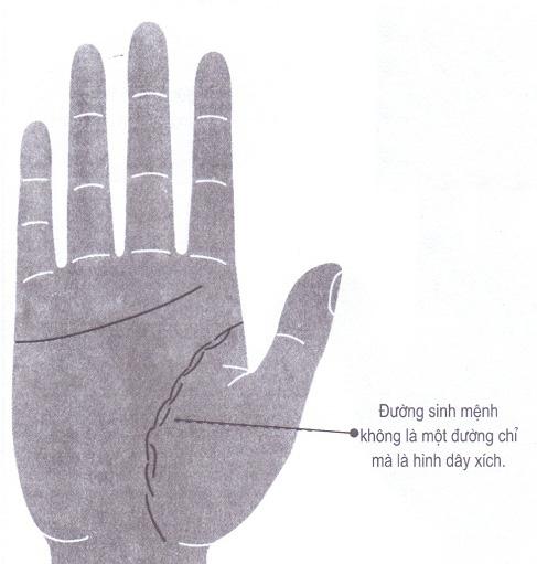 Xem chỉ tay đường sinh mệnh biết ngay người bệnh tật hay khỏe mạnh, ai phúc dày mệnh lớn-8