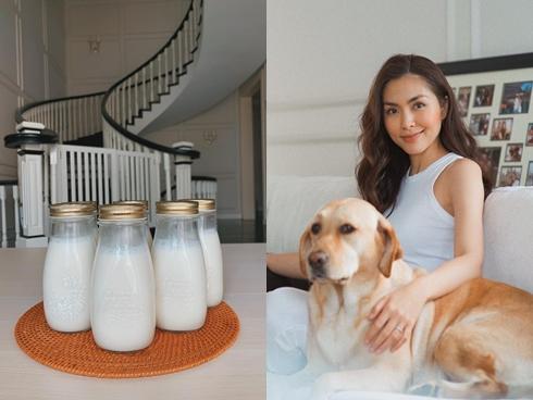 Xuýt xoa vẻ phổng phao của con gái Hà Tăng dưới ống kính của bố-5