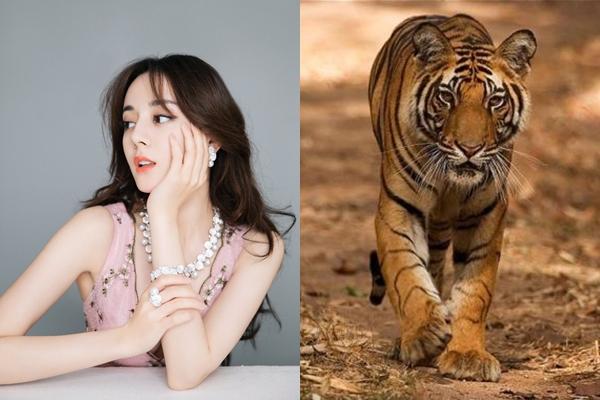 3 con giáp lận đận tình duyên, có nguy cơ sống cô độc đến già-1