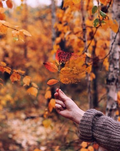 Tử vi Chủ Nhật ngày 16/6/2019 của 12 con giáp: Tuất thiếu nghiêm túc trong tình cảm, Tý thư thái tận hưởng cuối tuần-2