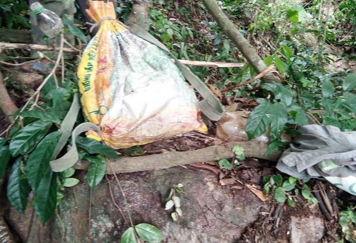 Trèo cây lấy rượu trời, người đàn ông ngã tử vong-2