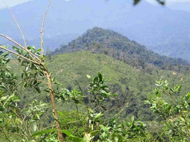 Tìm thấy thi thể cán bộ kiểm lâm sau 5 ngày mất tích trong rừng-1