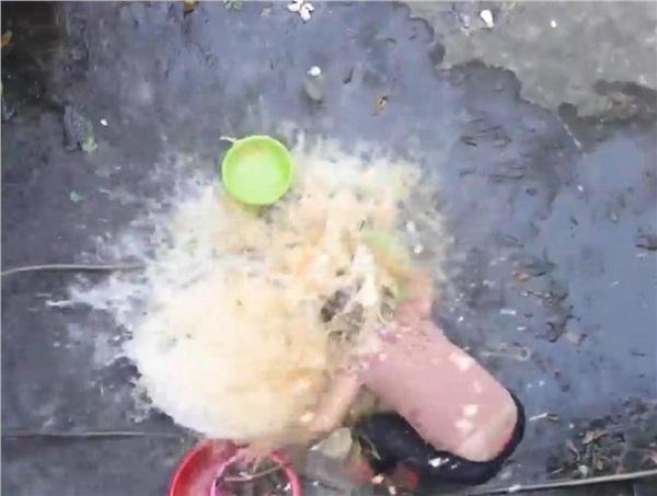 Thêm một Youtuber gây phẫn nộ khi đổ cả thau trứng sống 400 quả vào đầu người đi đường-1