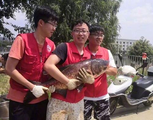 Trường nhà người ta, đánh 750kg cá trong hồ làm tiệc mừng sinh viên tốt nghiệp-1