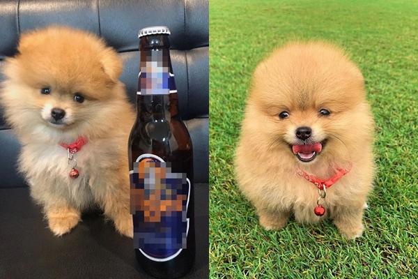 Sướng như Boss của Văn Lâm: Tài khoản Instagram follow khủng, chế độ ăn uống chuẩn dân tập gym-1