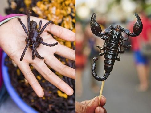 Loài cá cực độc được các đầu bếp Trung Quốc chế biến thành món cực phẩm-5