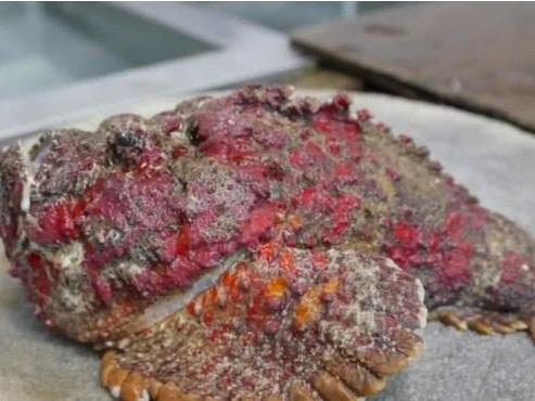 Loại ốc có hình thù kỳ dị chỉ có 1 nơi ở Trung Quốc mới dám ăn-5