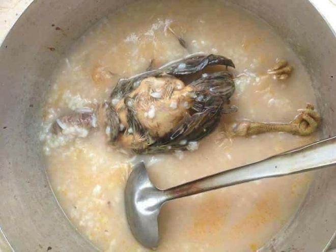 Vợ để cả con gà ngã vào nồi cháo, chồng vừa nhìn thấy đã xanh mắt khiếp vía, dân mạng thì cười nghiêng ngả-5