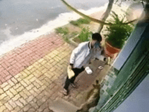 Clip: Thanh niên trách nhiệm nhất Vịnh Bắc Bộ, quyết chiến với chó dữ để phát bằng được 1 tờ rơi