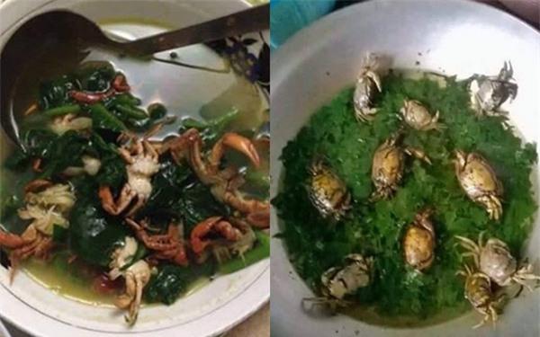 Chết cười chuyện anh chàng về ra mắt nhà bạn gái làm thịt nguyên con cá cảnh đắt tiền nhà người ta-3