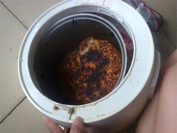 Chết cười chuyện anh chàng về ra mắt nhà bạn gái làm thịt nguyên con cá cảnh đắt tiền nhà người ta-4