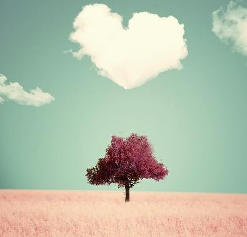 Tử vi thứ Bảy ngày 22/6/2019 của 12 con giáp: Tuất chuyện tình cảm rạn nứt, Tý có cơ hội làm giàu-2