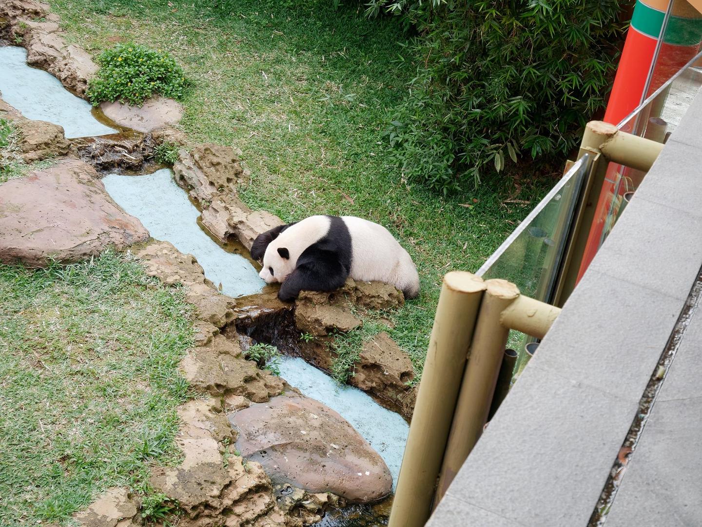 5 đặc sản trải nghiệm chỉ có tại Jakarta-2