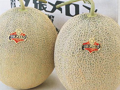 Đổ nước có ga vào dưa hấu, được món ngon bất ngờ-1