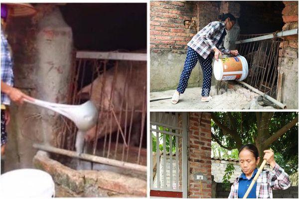 Cộng đồng mạng tranh cãi kịch liệt trước nghi án Bà Tân Vlog dùng cùng 1 chiếc vá để cho heo ăn và… khuấy trà sữa-9