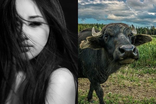 3 con giáp đen tận mạng, không ngóc đầu lên nổi trong tháng 7/2019-1