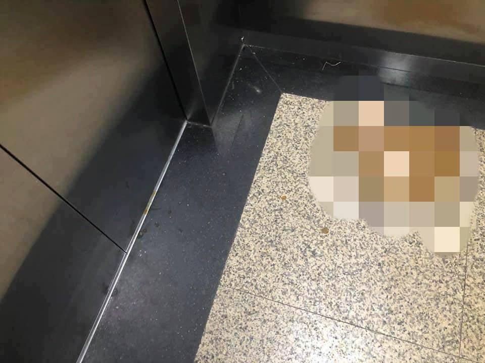 Phóng uế giữa thang máy chung cư Capital Garden ở Hà Nội-1