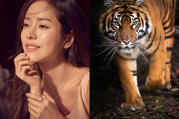 3 con giáp cực giỏi kiếm tiền, kiểu gì cũng thành đại gia trong năm 2019-1