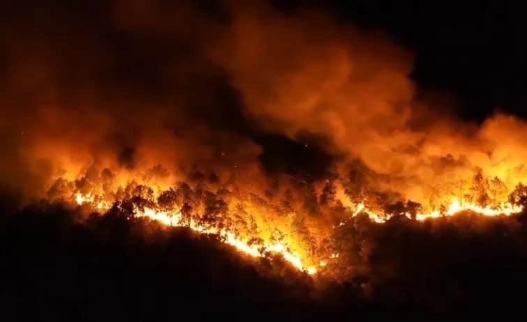 Clip: Cháy rừng chưa từng có ở Hà Tĩnh, nguy cơ ngắt đôi điện Bắc - Trung - Nam-2