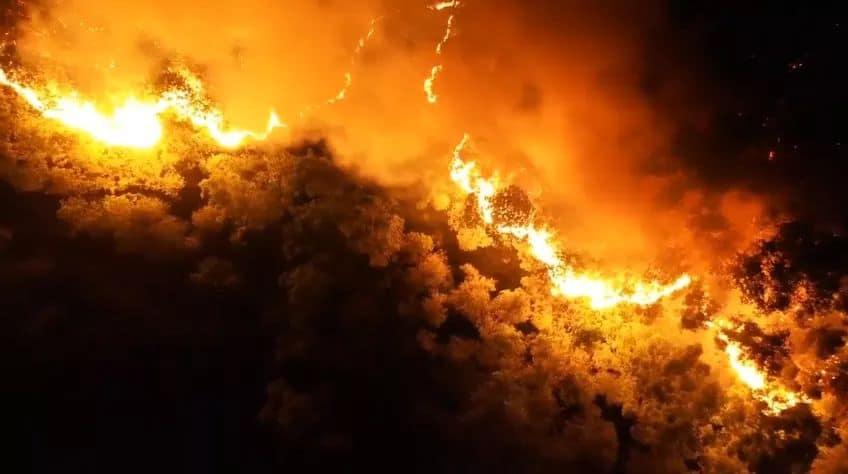 Clip: Cháy rừng chưa từng có ở Hà Tĩnh, nguy cơ ngắt đôi điện Bắc - Trung - Nam-3