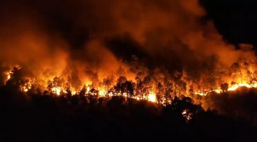 Clip: Cháy rừng chưa từng có ở Hà Tĩnh, nguy cơ ngắt đôi điện Bắc - Trung - Nam-4