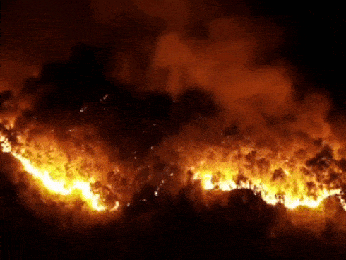 Cháy rừng thông, hơn 1000 người dập lửa : Bất ngờ tạm giữ một nghi can-3