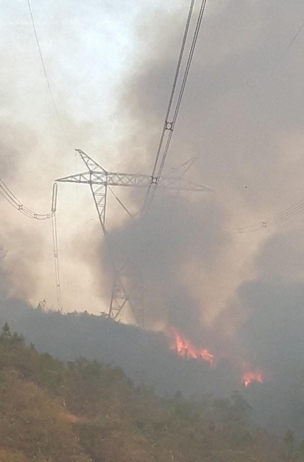 Clip: Cháy rừng chưa từng có ở Hà Tĩnh, nguy cơ ngắt đôi điện Bắc - Trung - Nam-6