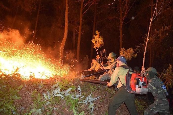 Cháy rừng thông, hơn 1000 người dập lửa : Bất ngờ tạm giữ một nghi can-1