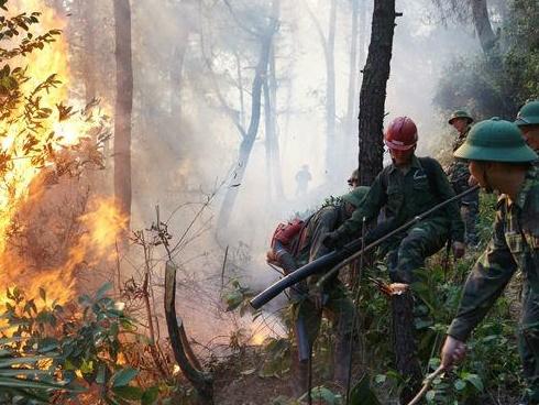 Đang cháy rừng ở Quảng Bình, hàng trăm cán bộ được huy động dập lửa-4