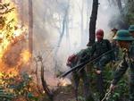 Hé lộ lời khai của nghi phạm gây cháy rừng khủng khiếp ở Hà Tĩnh