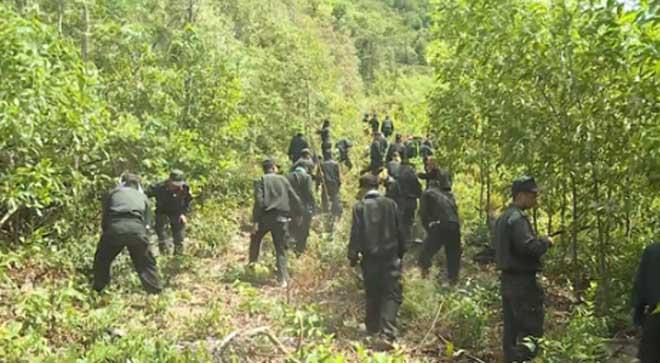 Đang cháy rừng ở Quảng Bình, hàng trăm cán bộ được huy động dập lửa-3