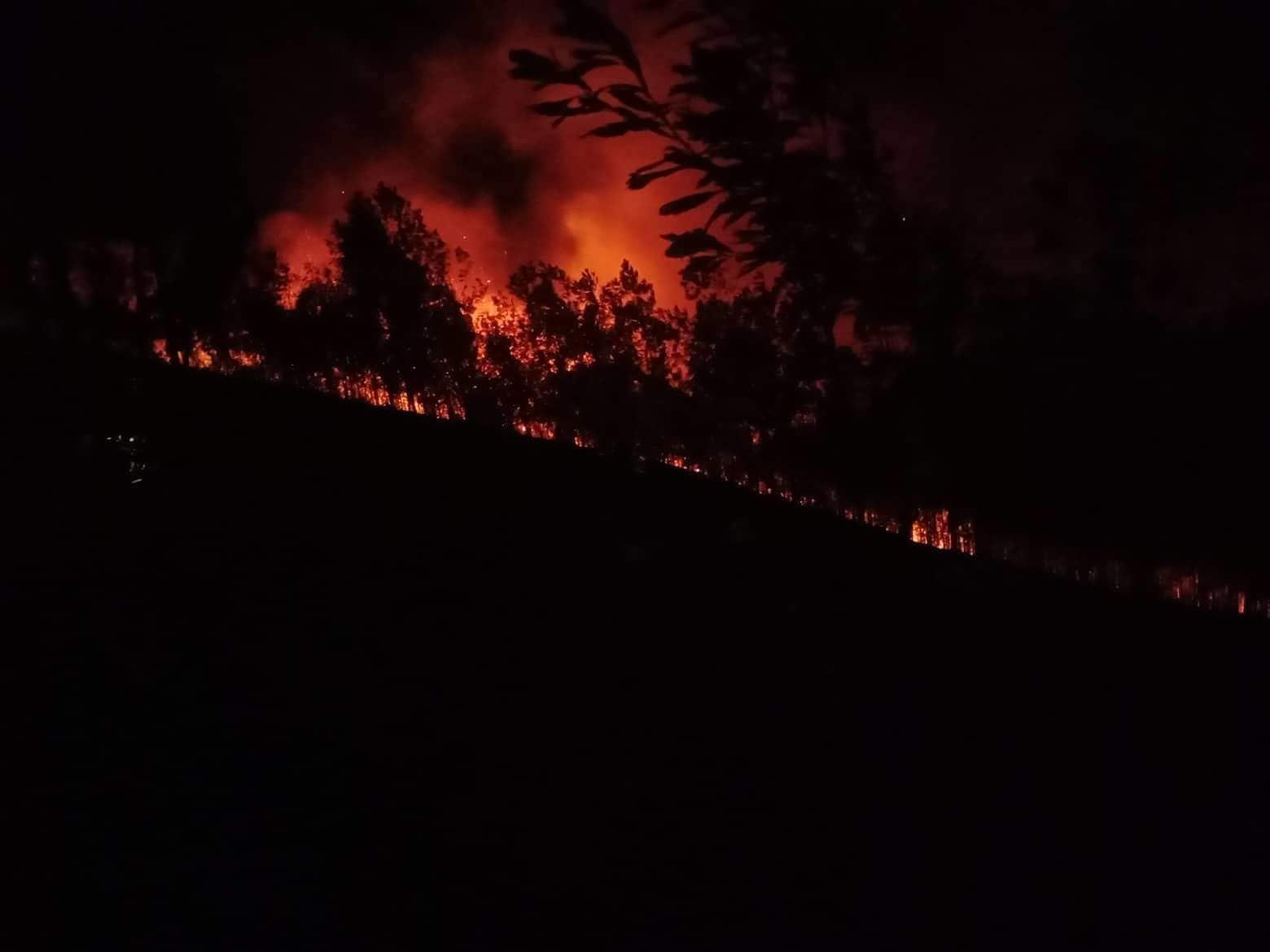 Hà Tĩnh lại cháy rừng giữa đêm, phát loa kêu gọi dân dập lửa-3