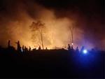 Cháy rừng ở Quy Nhơn, hàng trăm người tháo chạy-4