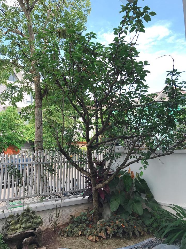 Hằng Túi khoe không trượt ngóc ngách nào của căn biệt thự nhiều tỷ mới sở hữu-3