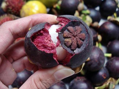 3 quán ốc ngon, ăn ngập mồm mà không sợ đắt chỉ có ở Hà Nội-5