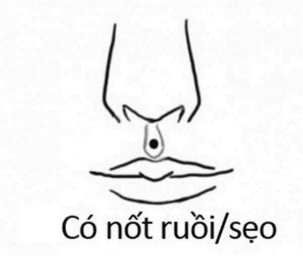 Xem đường nhân trung đoán số giàu sang hay nghèo hèn: Nếu thuộc kiểu số 3, xin chúc mừng!-4