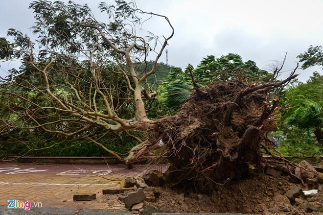 Bão số 2 suy yếu thành áp thấp nhiệt đới, mưa giảm dần-2