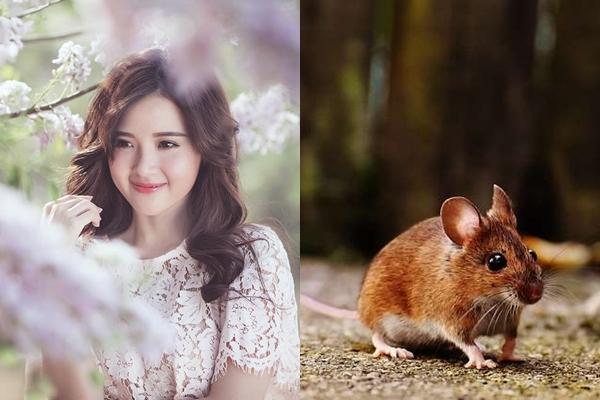 Cuối tuần này: 3 con giáp số đỏ như son, ăn lộc Thần Tài, tiền tiêu không hết-1