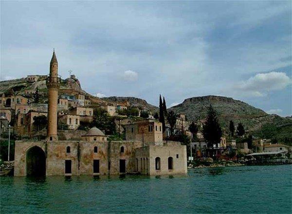 Nơi duy nhất trên thế giới tồn tại hoa hồng đen huyền bí-1