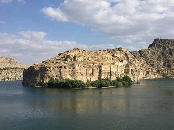 Nơi duy nhất trên thế giới tồn tại hoa hồng đen huyền bí-5