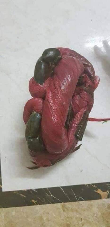 Mua cua buộc dây, khổ chủ nhận về nguyên chiếc áo mưa khiến dân mạng cười không ngậm được mồm-2