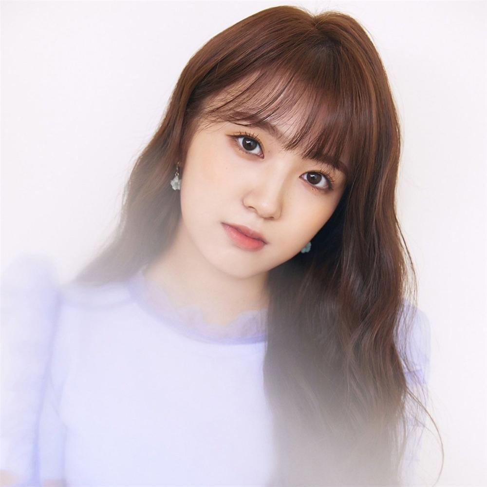 Tử vi Chủ Nhật ngày 7/7/2019 của 12 con giáp: Tý mở lối đào hoa, tiền Dần ngừng vung vãi-1