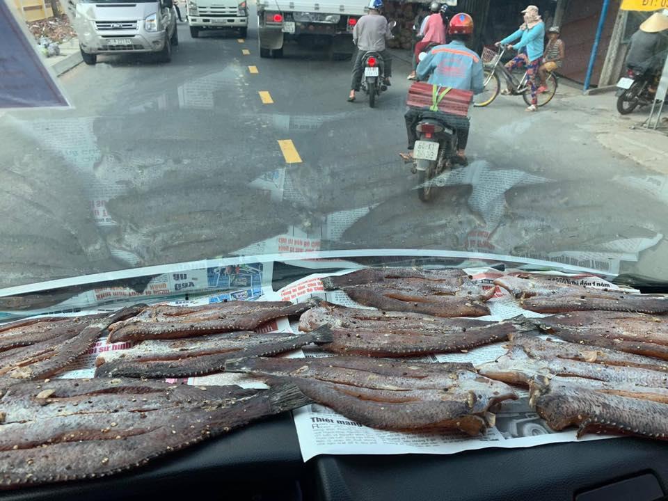 Thánh lầy nhất mạng xã hội,  phơi cá ngay trong ô tô, vừa đi vừa hứng nắng, ai xem cũng ngao ngán-2