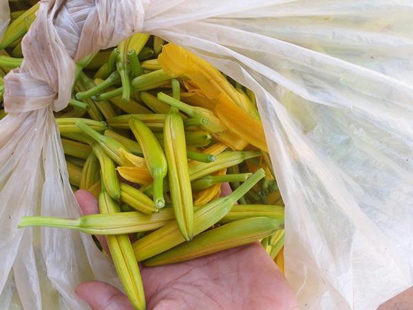 Loại hoa mọc hoang có tác dụng thần kỳ cho sức khỏe giá 500.000 đồng/kg-1