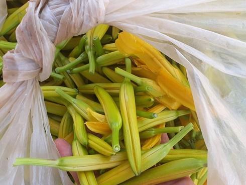 Loại hoa mọc hoang có tác dụng thần kỳ cho sức khỏe giá 500.000 đồng/kg