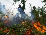 Rừng ở Đà Nẵng bốc cháy dữ dội, hơn 100 người tham gia dập lửa