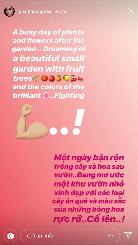 Bị dân mạng bóc mẽ dốt tiếng Anh dù đang sống và làm việc tại Mỹ, Phạm Hương lập tức xóa sạch status-1