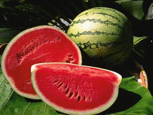 Mẹo làm sạch và luộc lòng heo thơm ngon, giòn sần sật như ngoài hàng-3